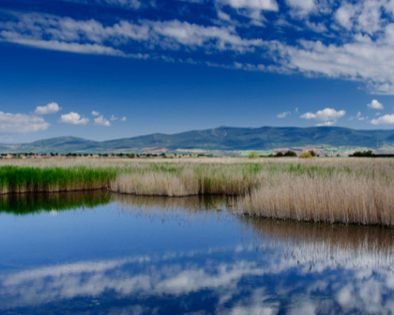 Lago sereno com vegetação, refletindo o céu azul e as montanhas à distância.