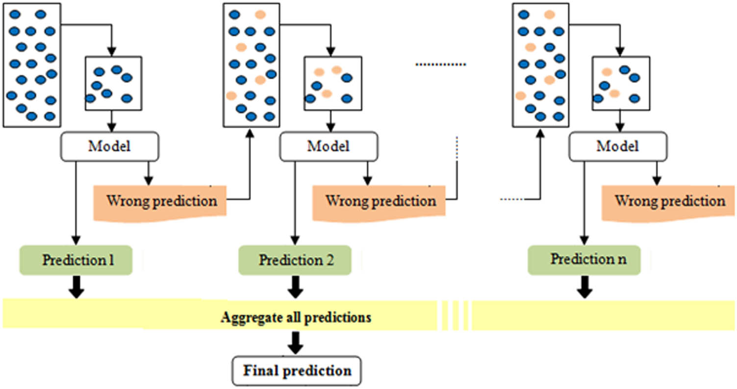 Figure 8 
                  XGBoost-based modeling process.
               