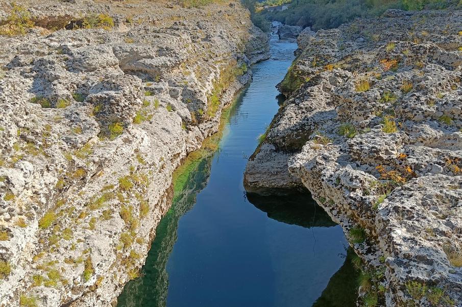 Restoration and Conservation of Endemic Critically Endangered Fish of the Middle and Upper Tensift Basin Key Biodiversity Zone in Morocco