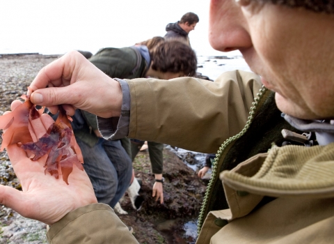 Foraging walk at Lyme Regis, Dorset © Toby Roxburgh/2020VISION