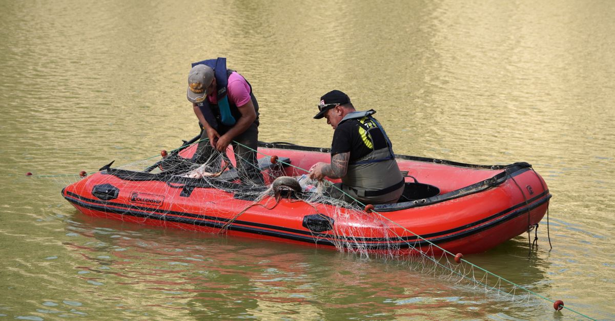 Buiden de peixos el pant� d’Ulldecona per evitar una mortalitat massiva i garantir la qualitat de l’aigua