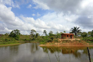 Imagem de Construção do conhecimento e sistematização de experiências sobre valoração e pagamento por serviços ecossistêmicos e ambientais no contexto da agricultura familiar amazônica (ASEAM)