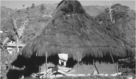 A house belonging to a family of the Igorot tribe in Bontoc. The Philippines are home to approximately sixty ethnic groups in seventy to eighty language groups.