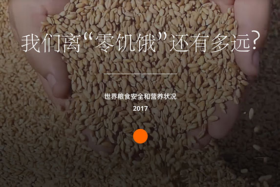 增强抵御能力 促进和平与粮食安全