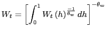 $\displaystyle W_{t}=\left[ \int_{0}^{1}W_{t}{}\left( h\right) ^{\frac{-1}{\theta_{w}} }dh\right] ^{-\theta_{w}}$