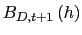 $ B_{D,t+1}\left( h\right) $