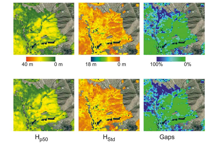 Satellitenbilder zeigen Veränderungen in der Vegetation. Illustration Markus Hollaus, TU Wien