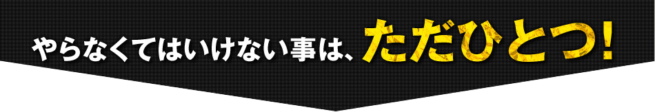 やらなくてはいけない事は、ただひとつ！