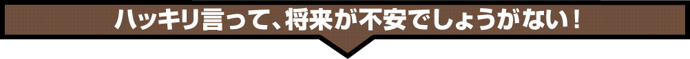 ハッキリ言って、将来が不安でしょうがない！