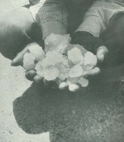 Cabo Rojo Salt Flats miner holding salt crystals.