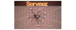 logo for serveez