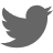 twitter-icon