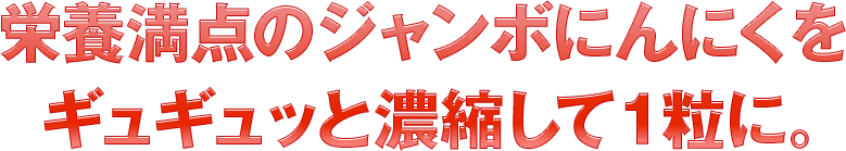 栄養満点のジャンボにんにくをギュギュッと濃縮して１粒に。