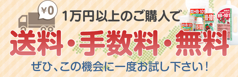 今なら全国どこでも送料・手数料・無料