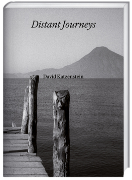 Cover für David Katzenstein