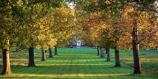 IAS Campus Lands