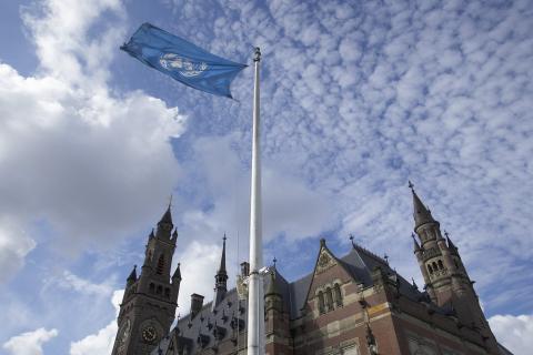 View of the Peace Palace