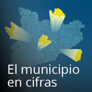 El municipio en cifras