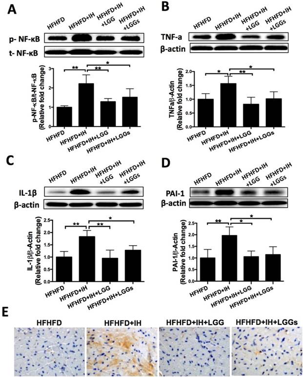 Int J Biol Sci Image