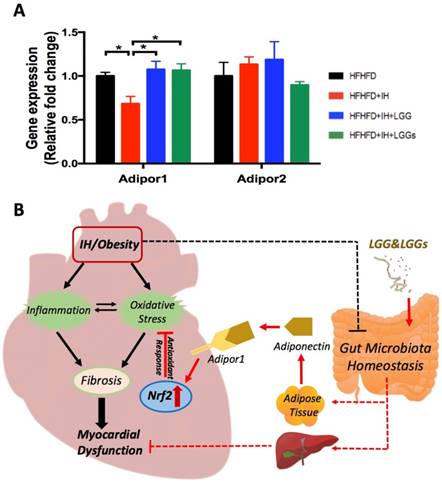 Int J Biol Sci Image