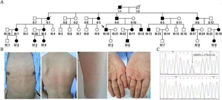 Int J Biol Sci Image