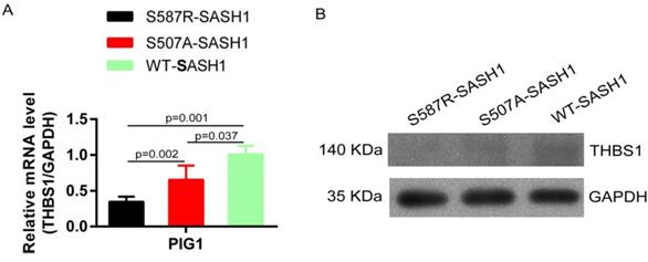 Int J Biol Sci Image