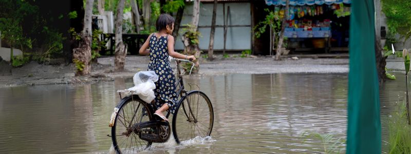 Climate adaptation and the IMF