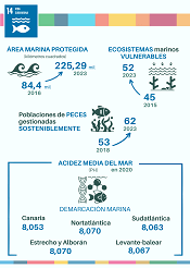 14. Vida submarina