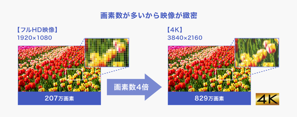 画像の細部まで鮮明でリアル