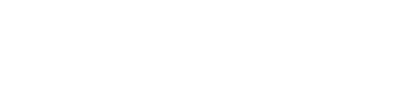 The Appraisal Foundation