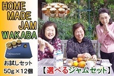 ��������L��@HOME MADE JAM WAKABA����̃W�����@50��×12�Z�b�g