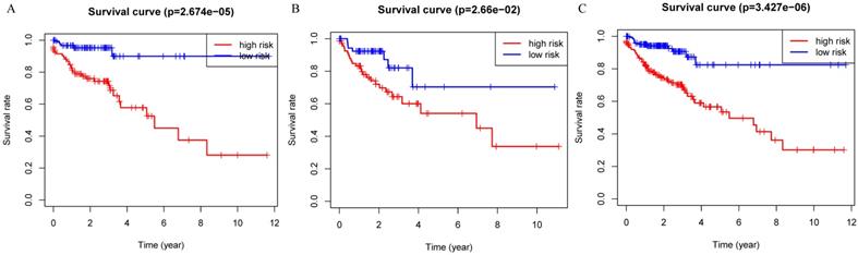 J Cancer Image