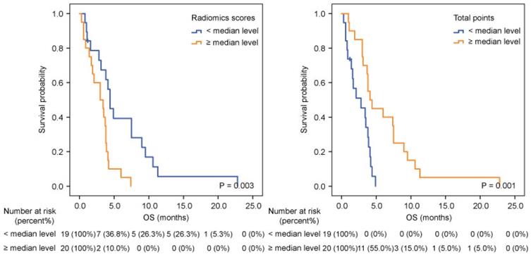 J Cancer Image