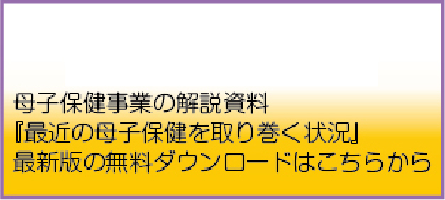 2024年度版『最近の母子保健を取り巻く状況』