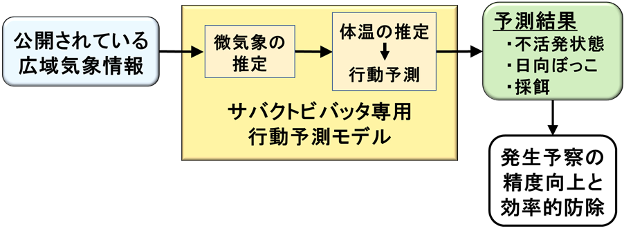 図4. 構築したバッタ専用モデルの利用によりバッタの行動予測が可能に