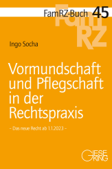 Abbildung: Vormundschaft und Pflegschaft in der Rechtspraxis