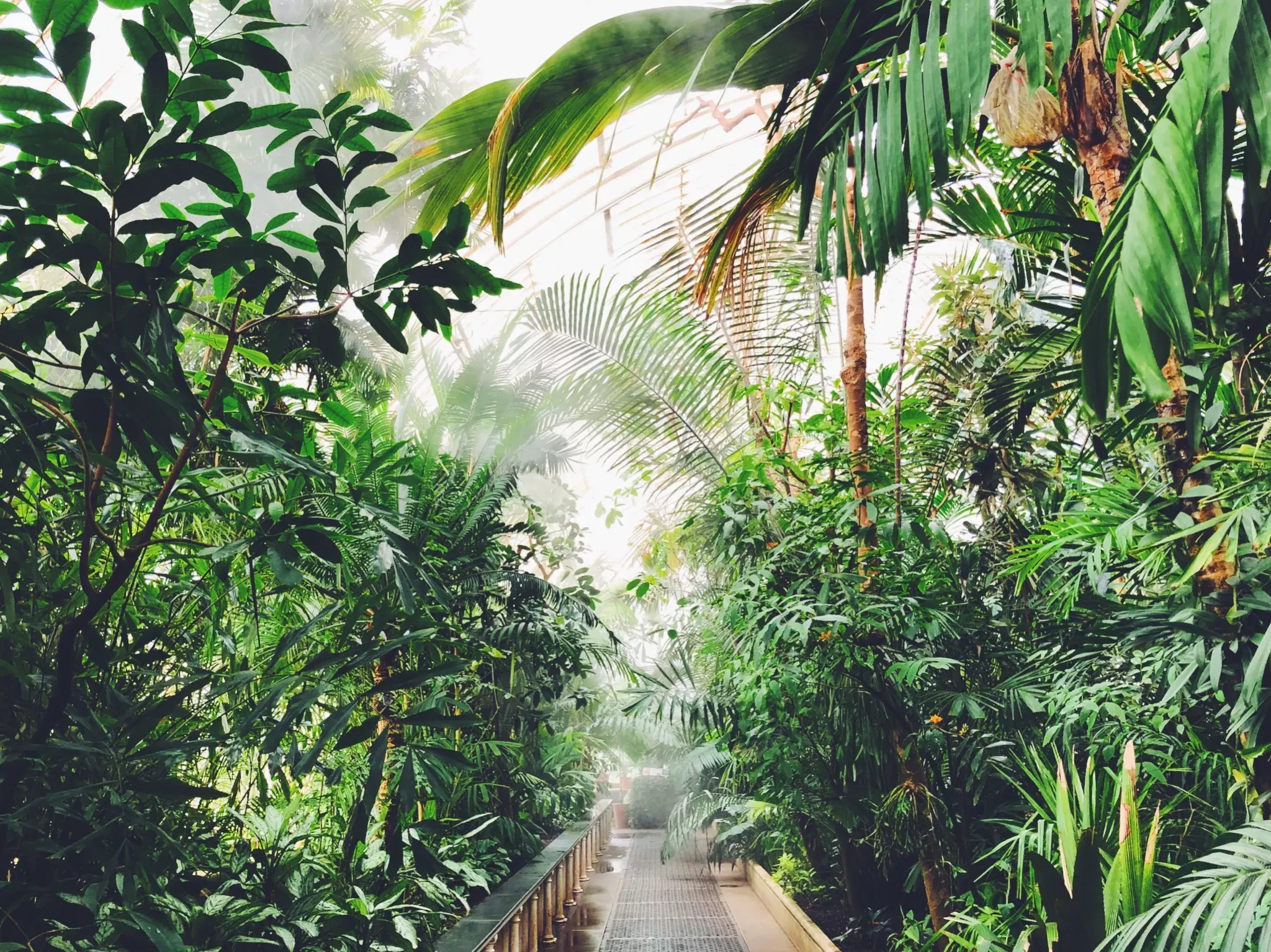 Inside the Palm House