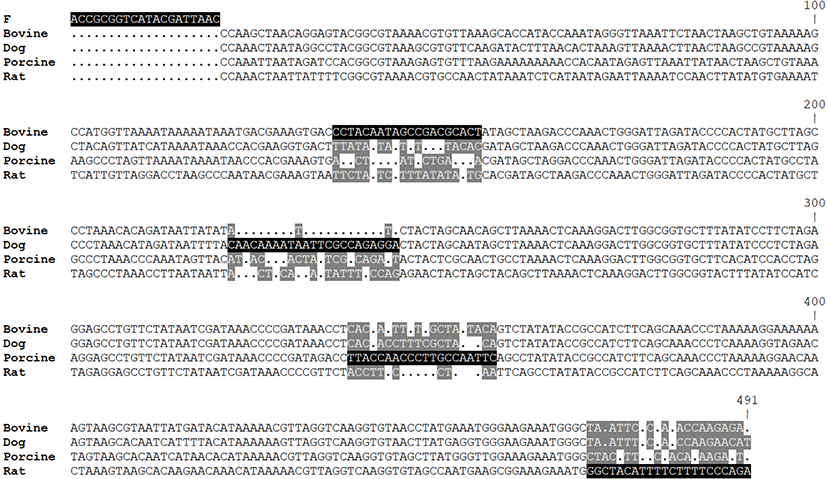 kosfa-40-4-628-g2