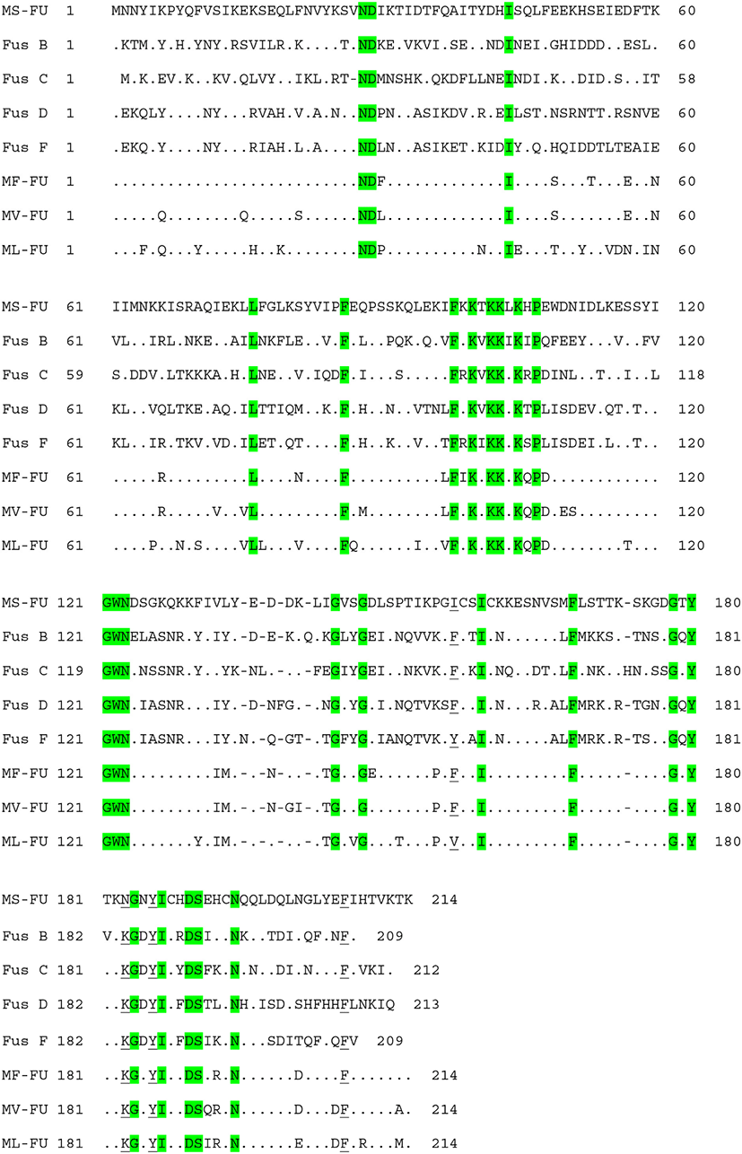 kosfa-42-2-225-g2