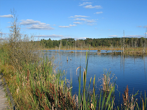 Von Schwenningen bis Epfendorf