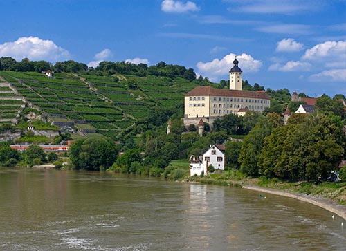 Von Gundelsheim bis Mosbach