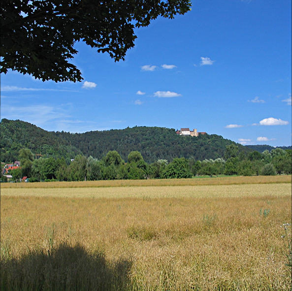 Neckartour Horb-Rottenburg