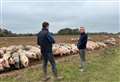 MP backs Norfolk farming on visit to family-owned business