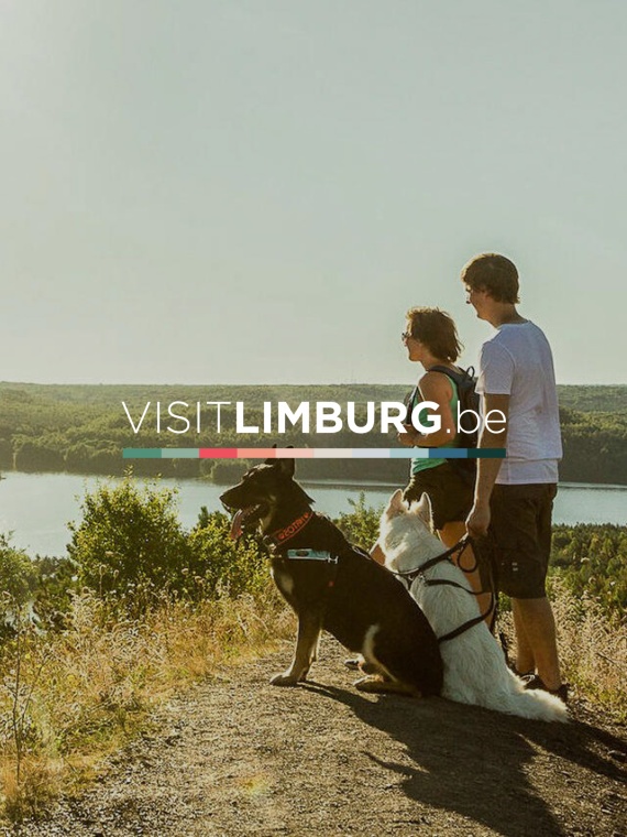 Visit Limburg teaser image