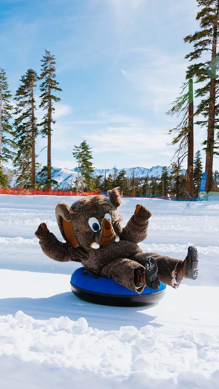 Woolly at the Tube Park