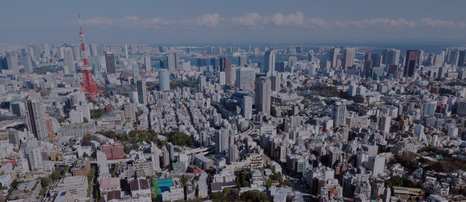 東京都心鳥瞰