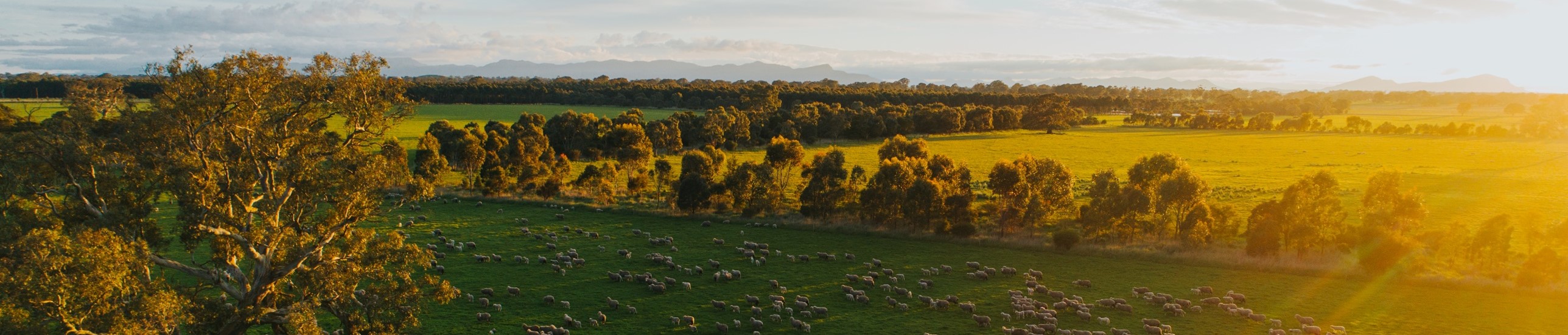 Grazing land management hub