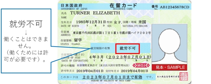 在留カードの表面の就労制限の有無が「就労不可」となっている場合は、働くことができません（働くには許可が必要です）。