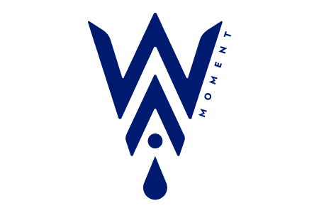 WAI logo