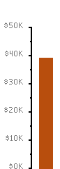 Fundraising Meter